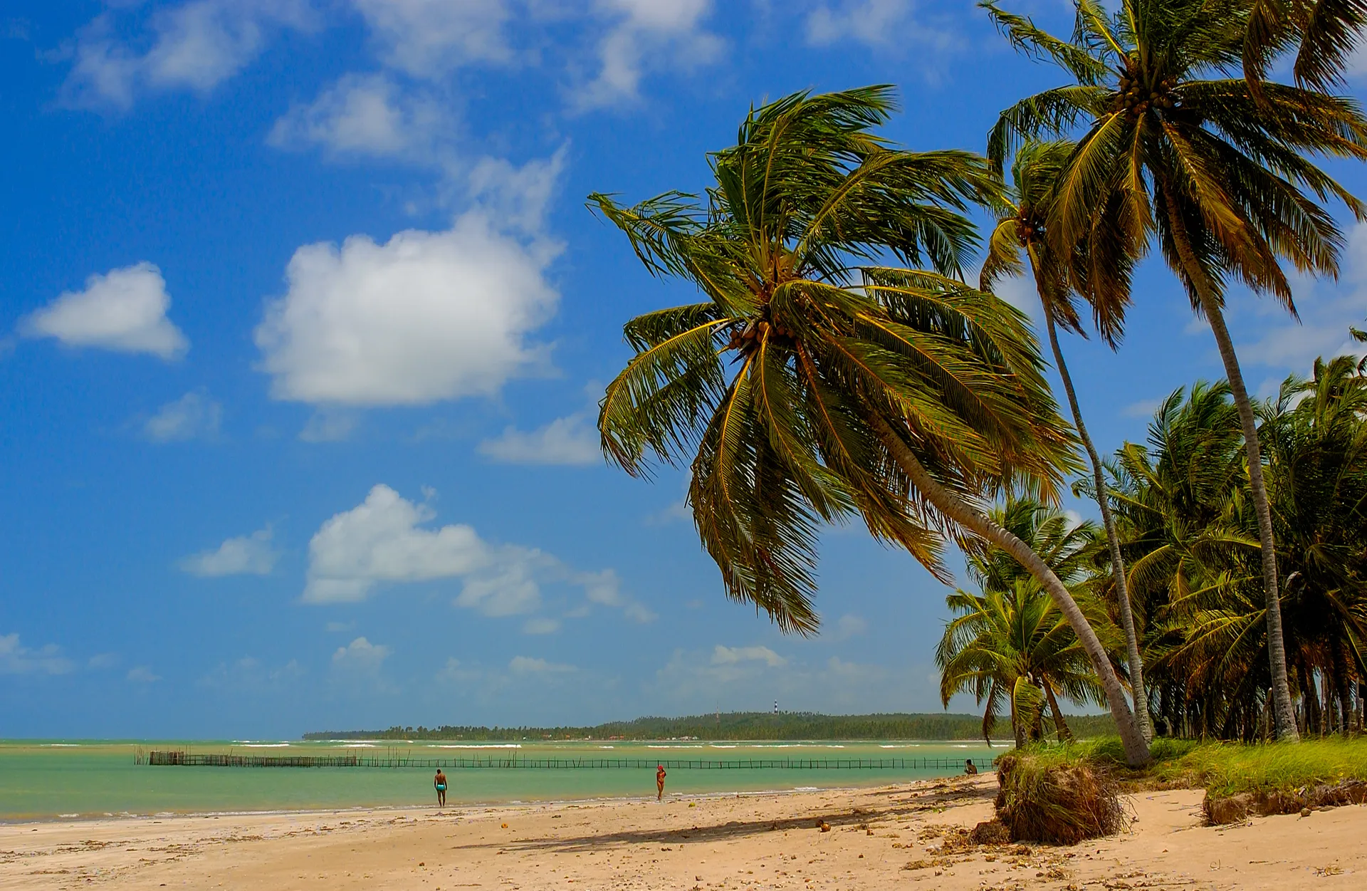 Tamandare